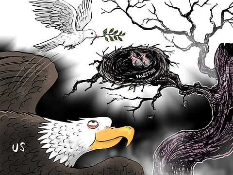 America must recognise Palestine