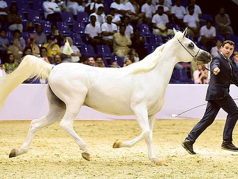 Arshad Ali/Gulf News Archives