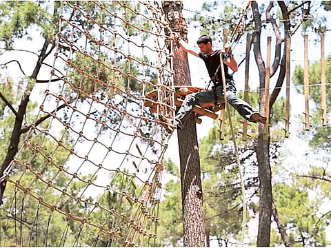 Courtesy: Dubai Municipality