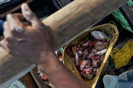 Kenya’s fishermen learn to navigate deeper waters