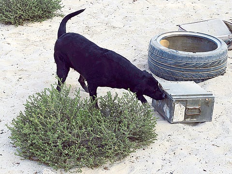 For illustrative purpose.