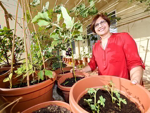 A.K. Kallouche/XPRESS