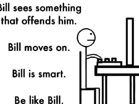 Memes that accurately defined 2016