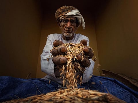 Things to do in UAE on December 4