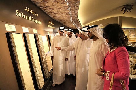 Courtesy: Emirates Soil Museum