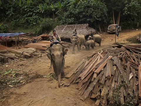 Adam Dean/New York Times