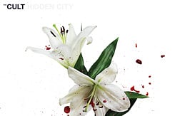 Album review: The Cult’s ‘Hidden City’