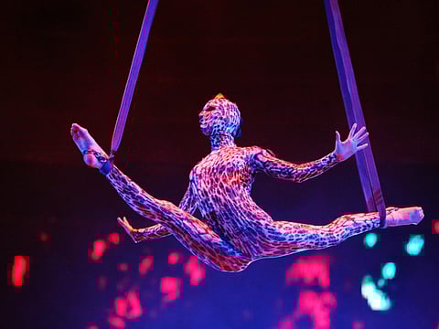 ‘Circus is a special kind of art’