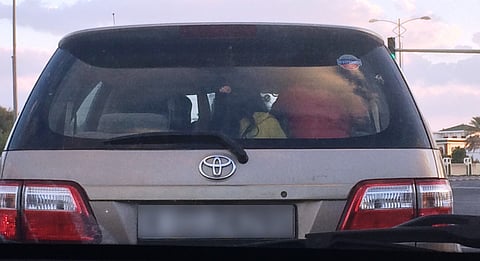 Careless attitude major cause of accidents