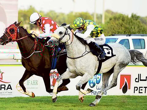 Ahmed Kutty/Gulf News