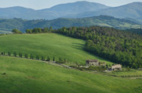 Image courtesy of Sothebys IR