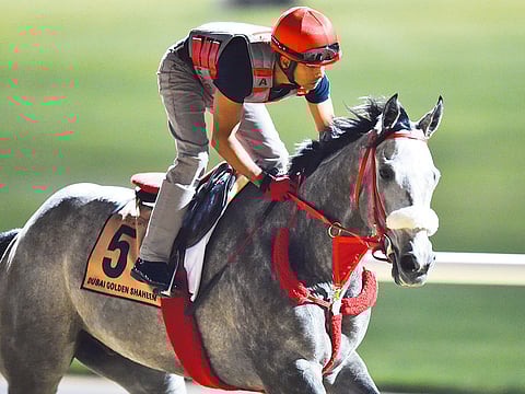 Virendra Saklani/Gulf News