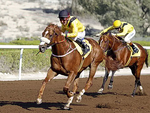 Jebel Ali Racecourse is scheduled to host two race meetings on March 20 and April 3.