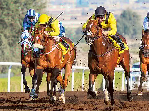 Jebel Ali returns to racing action on Friday