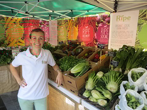 Pop-up markets boost home-grown business