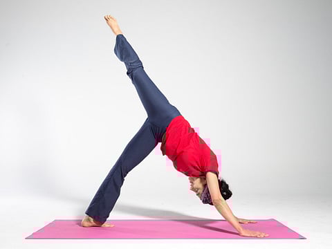 Have no fear, eat vegetarian!