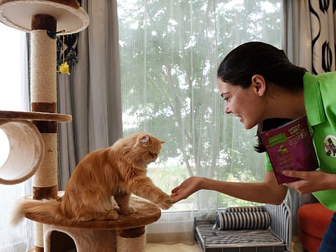 Zarina Fernandes/ XPRESS