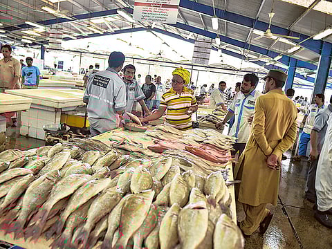 Clint Egbert/Gulf News