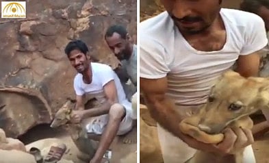 Young wolf hunters condemned on social media