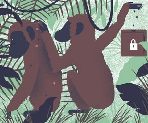 Christopher Silas Neal/New York