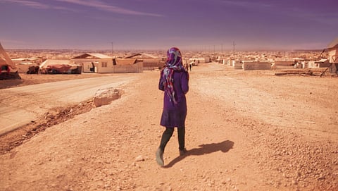 Everett/REX/Shutterstock