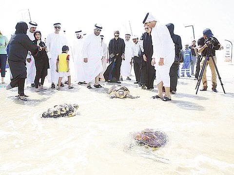 Courtesy: Sharjah Museum Department