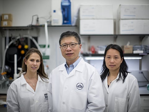 Gabriella Demczuk/New York Times