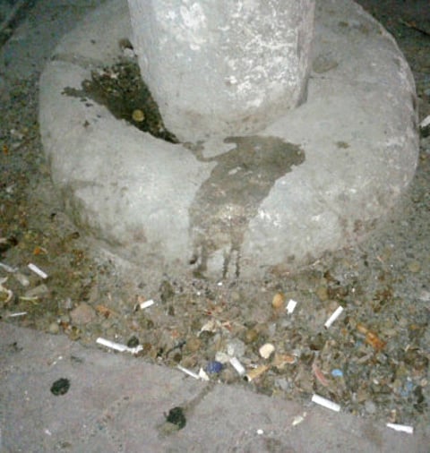 Sneha Krishna Murthi