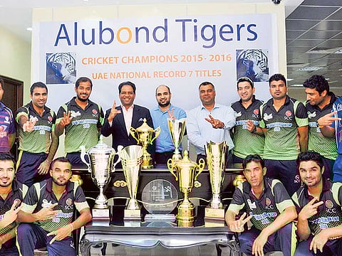 Alubond Tigers