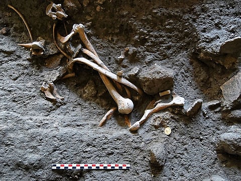 A Saudi man stumbled upon human remains which he first thought were of an animal. Photo for illustrative purposes.