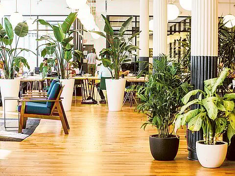 New York Times News Service