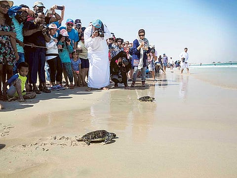Emirates Marine Environmental Group