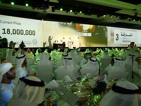 Aghaddir Ali/Staff Reporter