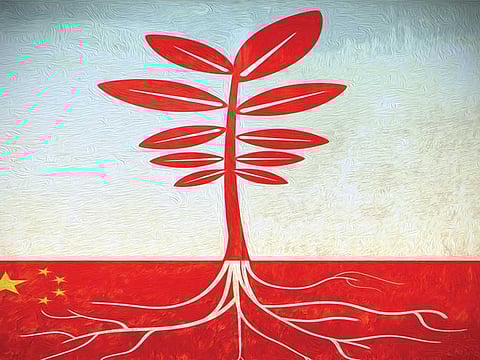 Hugo Sanchez/©Gulf News