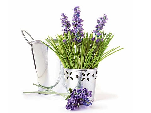 Getty Images/iStockphoto