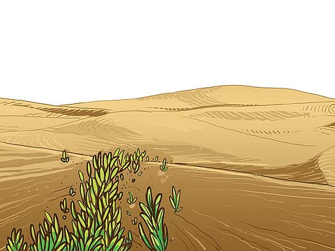 Ramachandra Babu/Gulf News