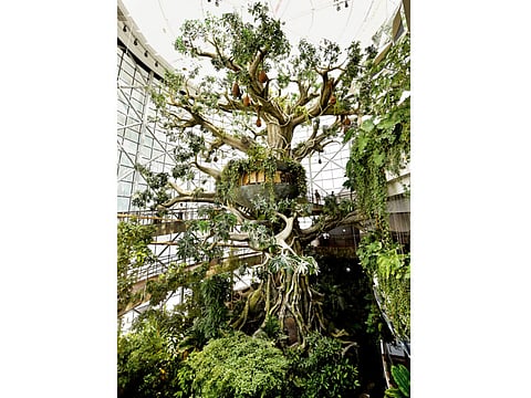 Virendra Saklani/XPRESS