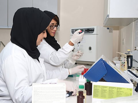 COURTESY Ministry of Climate Change and Environment