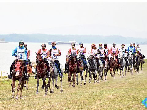 Dubai Media Office twitter