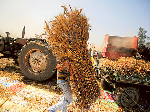 The disruptions come at a time when global crop prices have already soared to records, while hunger has surged dramatically in the past two years.