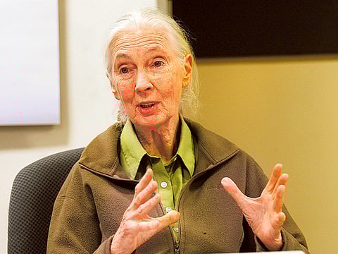 Zarina Fernandes/Gulf News