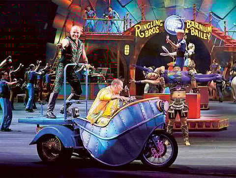 Restrictions affecting animal circuses