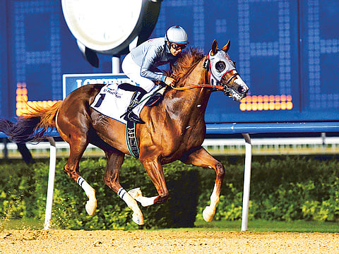 Virendra Saklani/Gulf News Archive