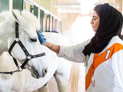 COURTESY Dubai Women Establishment