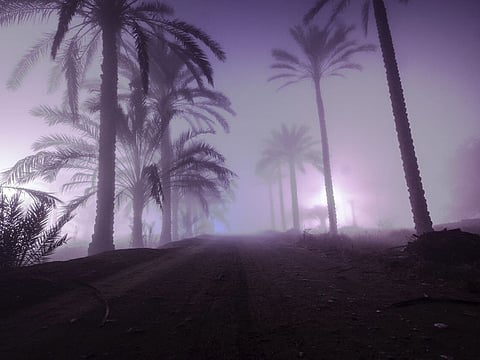 Rare fog envelopes most of northern Oman