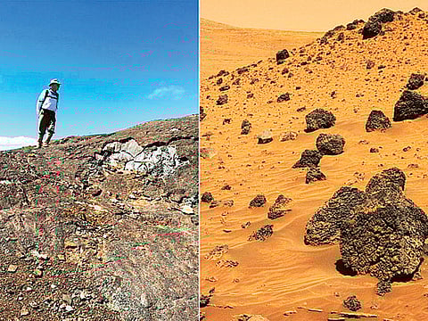 Darlene Lim and NASA - JPL - CAL