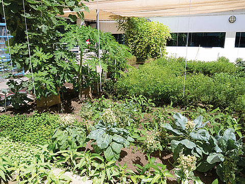 Courtesy: Dubai Police