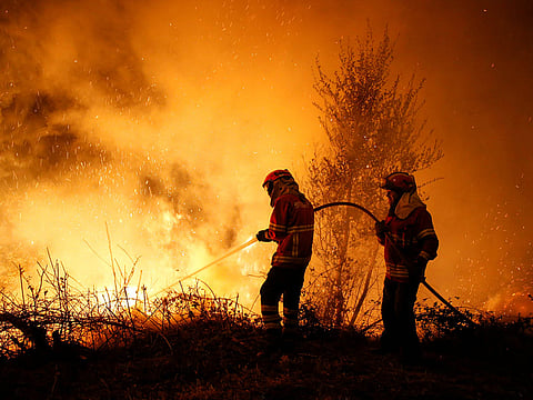 The National Emergency Office of the Chilean Ministry of the Interior and Public Security (ONEMI) reported that 3,230 hectares of land have been consumed by forest fires in the past two days in the Valparaiso region.
