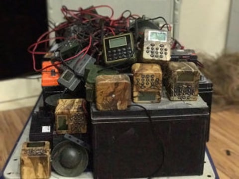 155 bird-calling devices seized in Sharjah