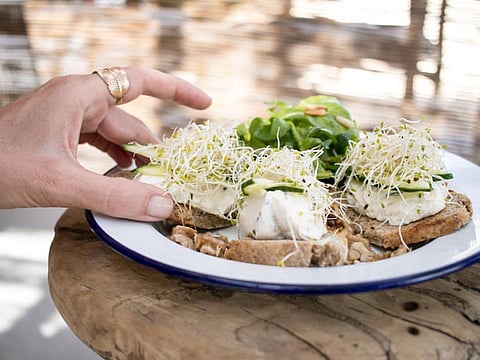 7 of the best vegan bites to try in the UAE